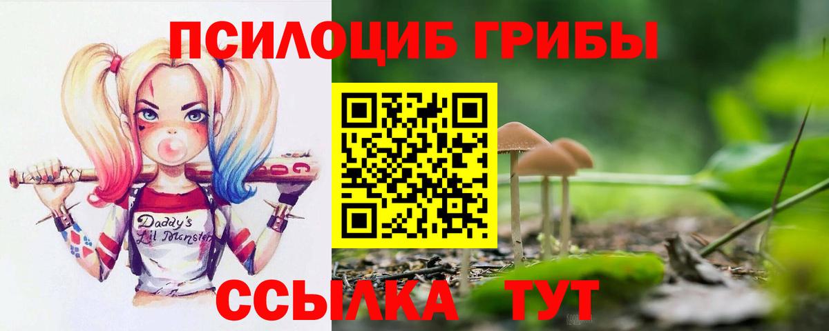 Егорьевск  Галлюциногенные грибы Psilocybine cubensis  что такое   Вход с VPN 